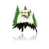 Nye logo eagle